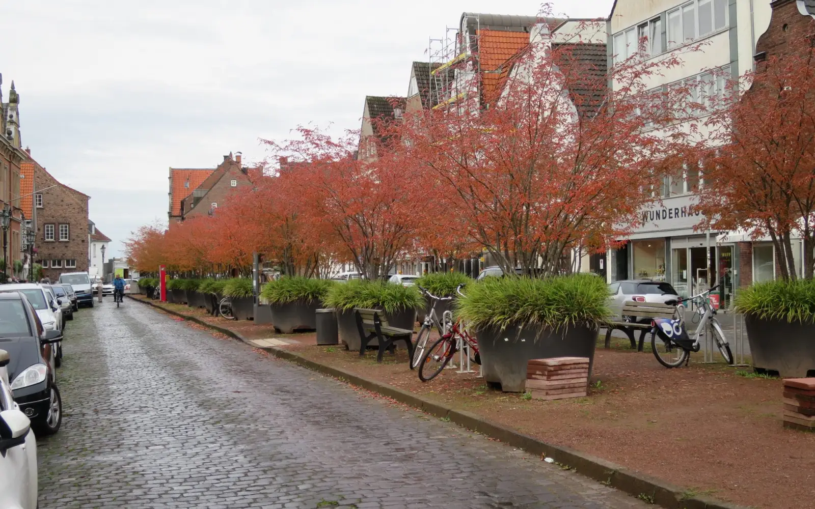 Nicht nur im Frühjahr, auch im Herbst ist die japanische Brautkirsche zwischen der historischen Bausubstanz ein herrlicher Anblick auf dem Kaiserswerther Markt. Die Bezirksvertretung bezweifelt, dass die Möblierung dem entspricht. Foto: hs