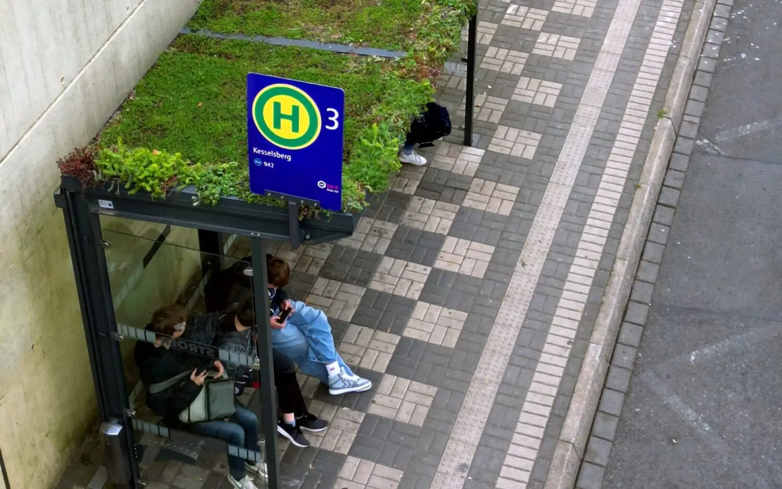 Die neue begrünte Wartehalle der DVG an der Haltestelle „Kesselsberg“ in Duisburg-Huckingen verbessert das Stadtklima und dient Insekten als Lebensraum. Foto: Andreas Kamps / DVV