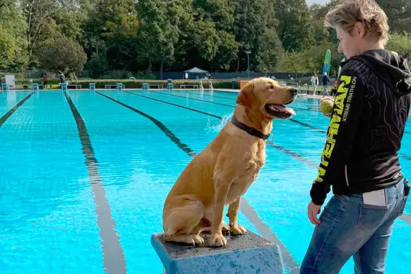 Saisonabschluss im Freibad: Hundeschwimmen in Duisburg war voller Erfolg