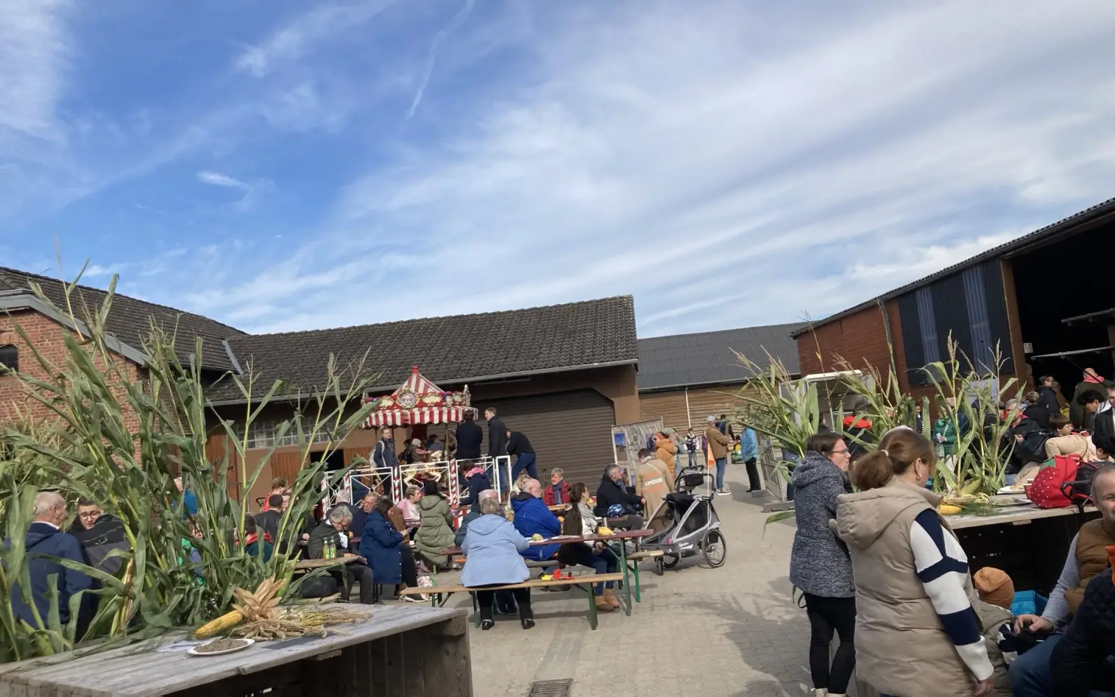 Wie im vergangenen Jahr, so feiern die evangelischen Christen im Duisburger Süden wieder Erntedank auf dem Ellerhof in Mündelheim. Archivfoto: sam