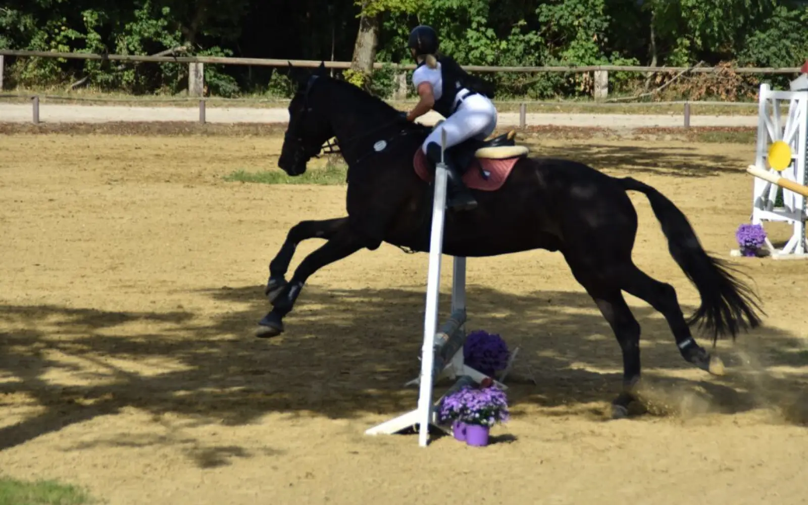 Reitverein-Wittlaer-2025-OM_1757328947573-1024x682