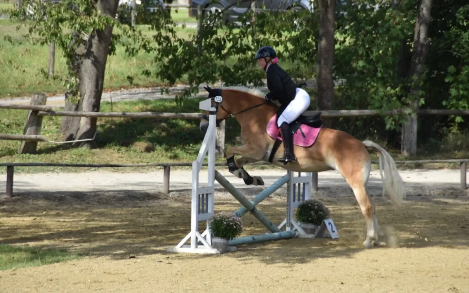 Reitverein-Wittlaer-2025-OM_1757328987272-1024x682