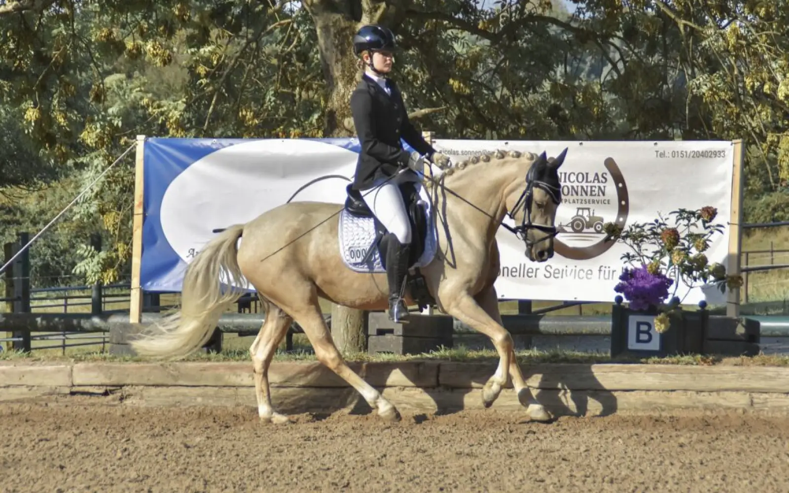 Reitverein-Wittlaer-2025-Ella-Teuber_DR-1024x662