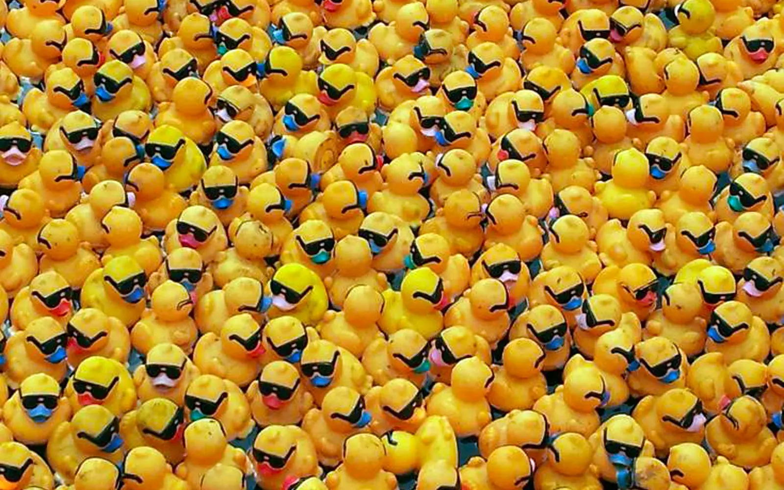 Zahlreiche gelbe Rennenten starteten beim diesjährigen Entenrennen im Wasser des Duisburger Innenhafens. Archivfoto: privat