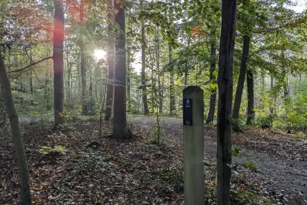 Bestattungsvorsorge im Zentrum Plus Angermund im Fokus