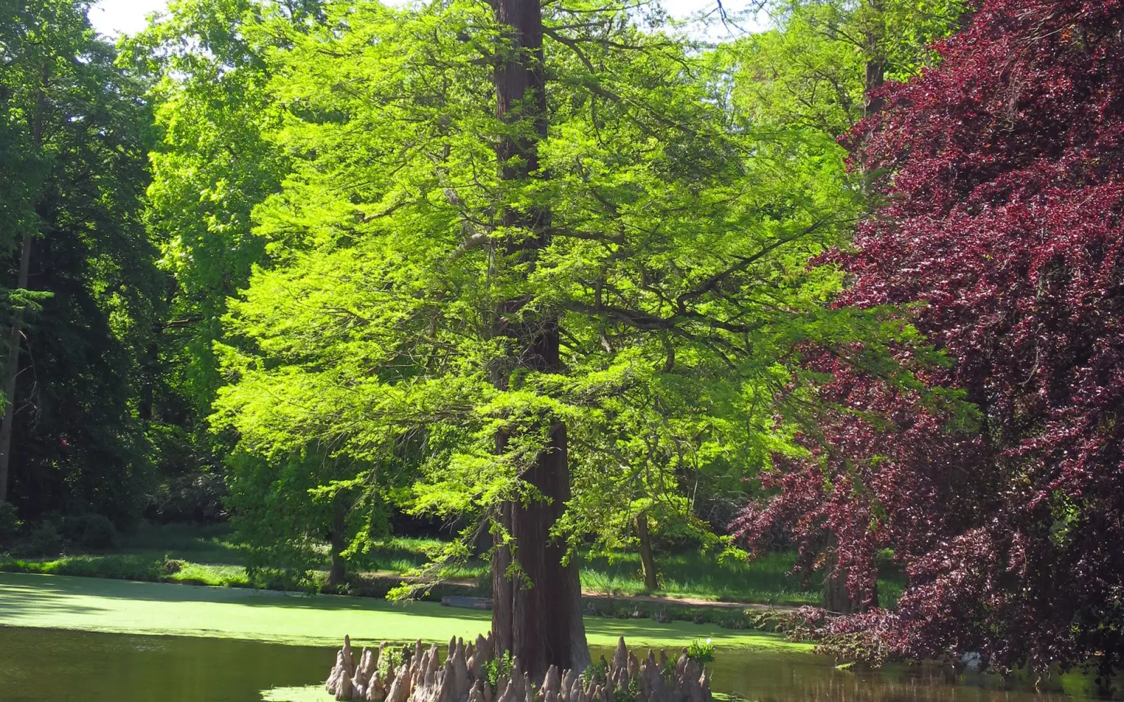 Ausblick im Heltorfer Schlosspark. Archivfoto: hs