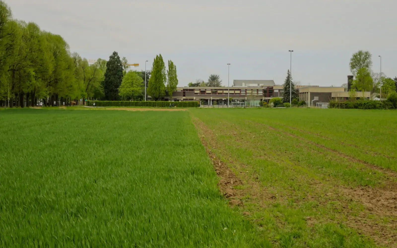 Entlang der Kalkumer Schlossallee soll mit dem Theodor-Fliedner-Gymnasium (im Hintergrund), einer neuen Gesamtschule und Sportanlagen ein Schulcampus entstehen. Foto: hs