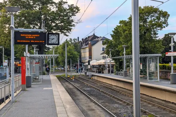Ersatzbusse auf der U79 zwischen Freiligrathplatz und Wittlaer