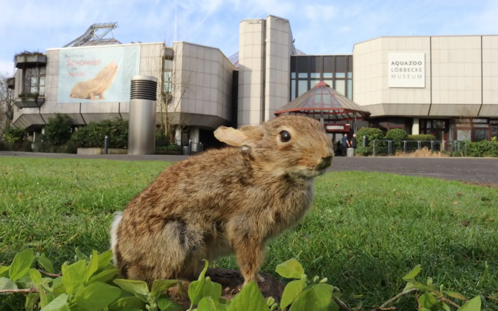 Der Aquazoo Löbbecke Museum lädt während der Osterferien zu verschiedenen Workshops ein. Foto: Aquazoo Löbbecke Museum