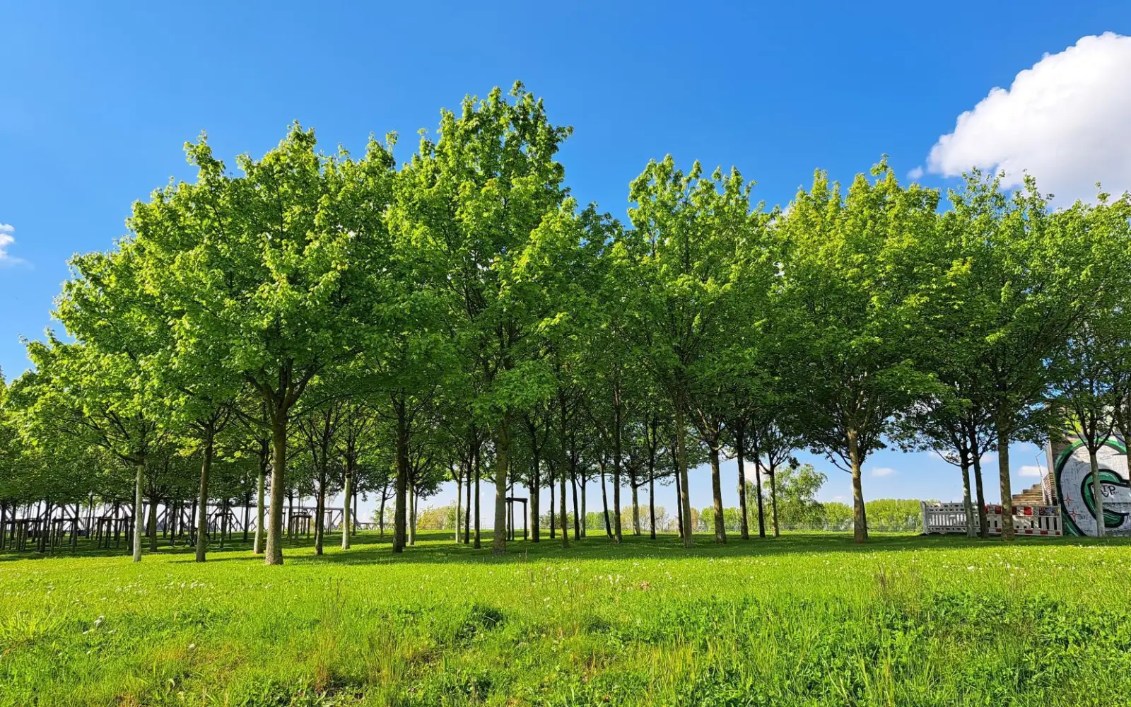Grüne Idylle im RheinPark Duisburg, einem der Hauptstandorte der IGA 2027, der nachhaltig aufgewertet wird. Foto: Simone Sass, Wirtschaftsbetriebe Duisburg