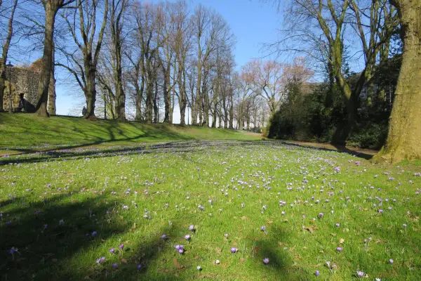 Das Blaue Band in Kaiserswerth