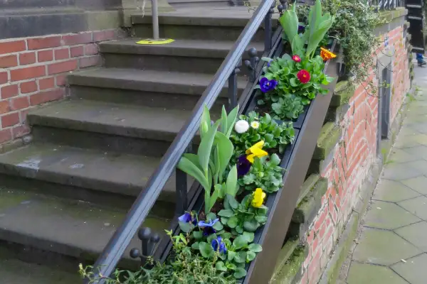 Einen blühenden Blumenkübel gibt es kostenlos vor die Haustür