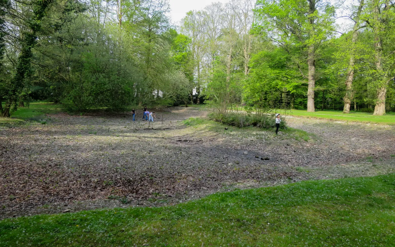 Ein wegen nicht funktionierendem Ausgleich mit dem Schlossgraben trocken liegender Teich im Kalkumer Schlosspark. Foto: hs