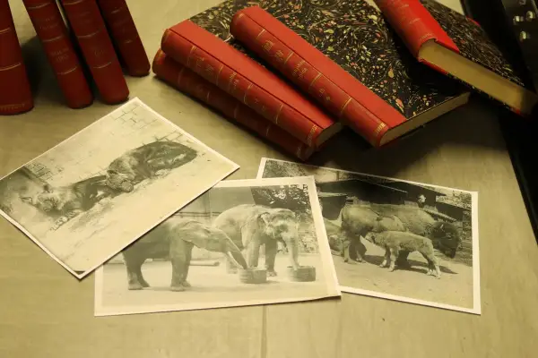 Aquazoo veröffentlicht mehr als 1.000 historische Zoo-Fotografien
