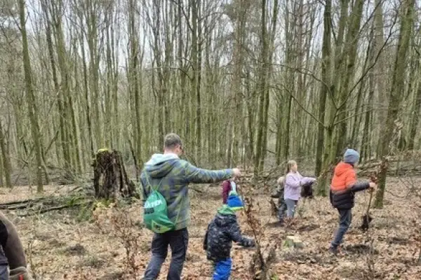 Heftige Kritik in der BV: Geplante CO₂-Trasse würde viel Wald zerstören