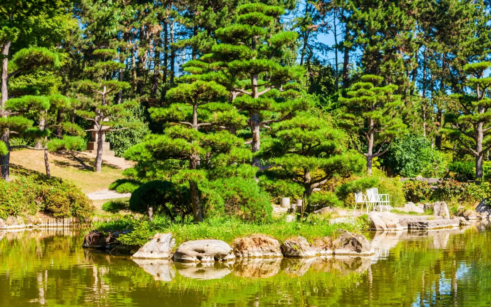 Die im Niwaki-Stil geformten Schwarzkiefern gehören zu den prägendsten Gestaltungselementen des Japanischen Gartens im Nordpark. Foto:
saiko3p/Depositfoto