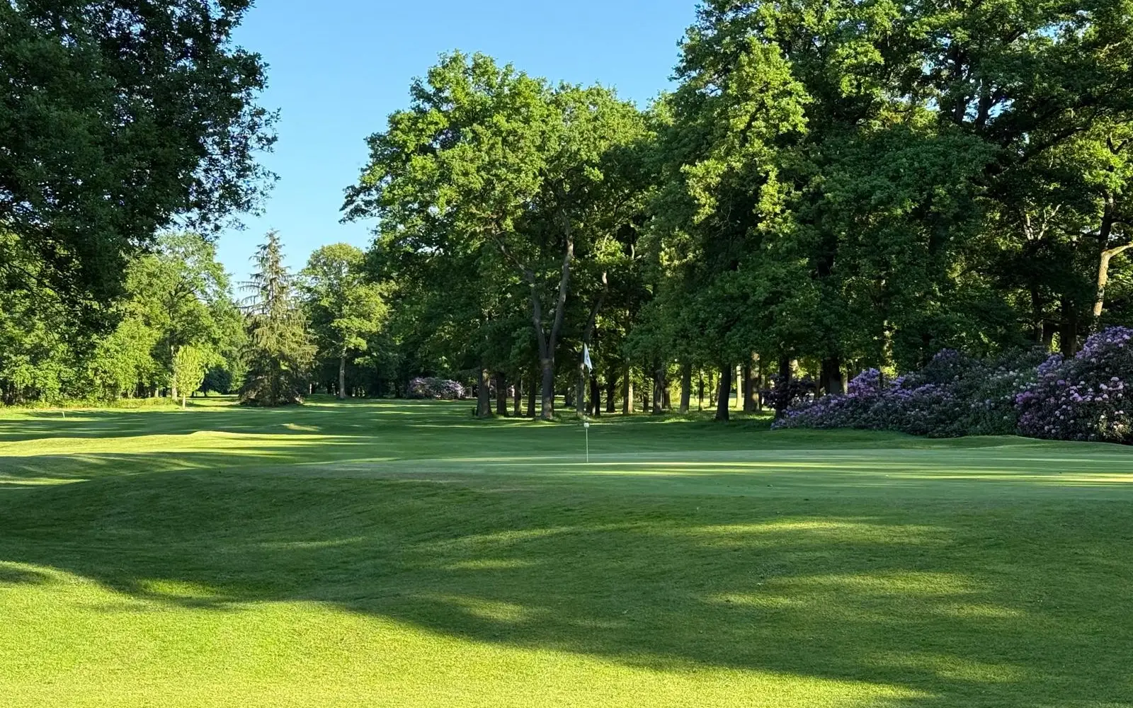Der dichte alte Baumbestand prägt den parkähnlichen Charakter des 30 Hektar großen Geländes in Großenbaum. Foto: Niederrheinischer Golfclub Duisburg