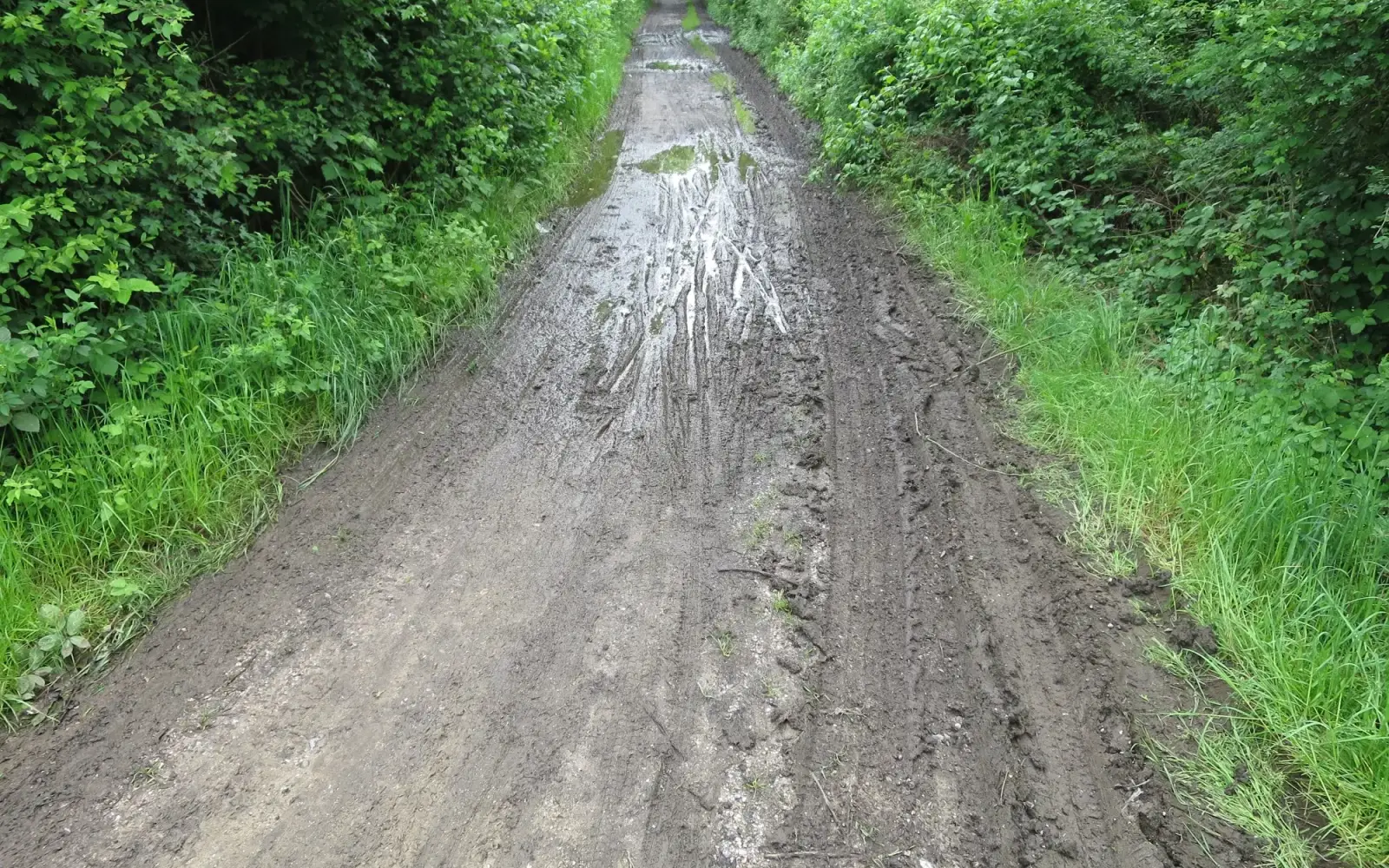 Radweg entlang des Ostufers am Angermunder See. Foto: HS