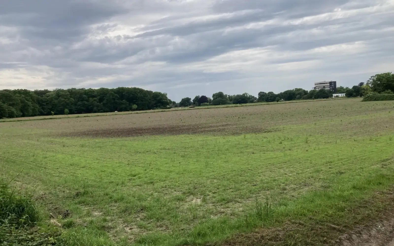 Wie geht es mit dem Rahmerbuschfeld weiter? Die BV hat dagegen gestimmt. Foto: sam