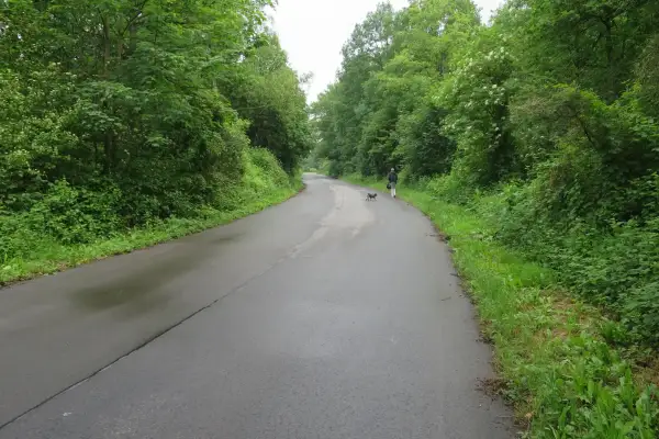 Relikt des Zweiten Weltkriegs – Ein breites Asphaltband durch den Kalkumer Wald