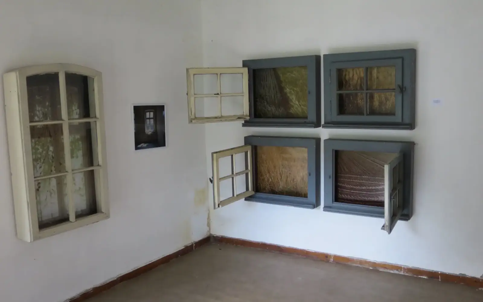 Fensterbilder von Maren Heyne. Foto:hs