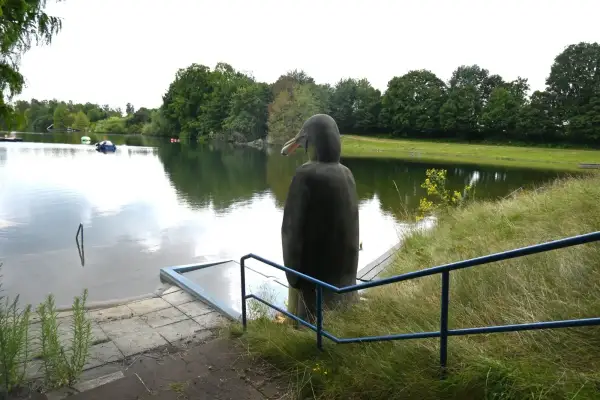 Infoveranstaltung zu „Anstieg des Grundwasserspiegels“ am 3. September