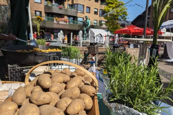 Kaiserswerther Kartoffelfest 2024: Familienfreundliches Highlight im Düsseldorfer Norden
