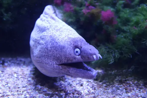 Halloween im Aquazoo: Gruselige Tiergeschichten und abendliche Führung