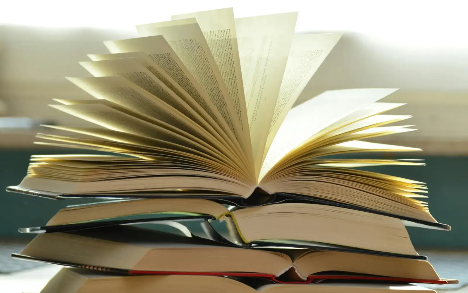 Wer hat neuwertige Bücher in einwandfreiem Zustand? Die Lions suchen Buchspenden, um diese auf dem Weihnachtmarkt Duisburg als Geschenk anbieten zu können - für einen guten Zweck. Foto: pb