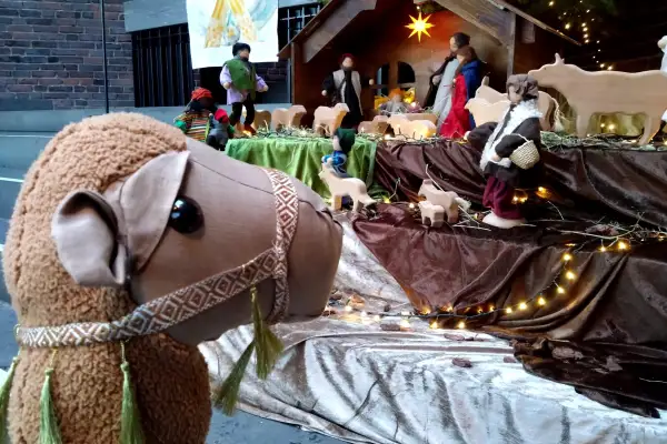 Kinderchor führt Weihnachtsmusical „Ohne Kamele geht es nicht!“ auf