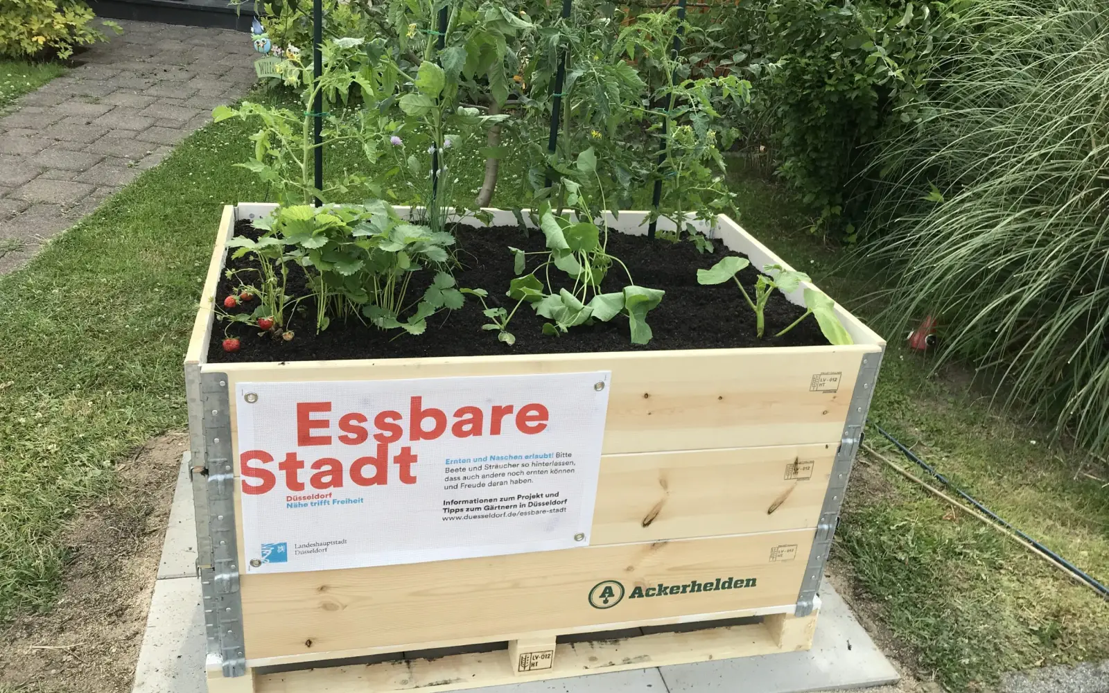 Seit fünf Jahren können Menschen mit den Hochbeeten der Essbaren Stadt in Düsseldorf zu Stadtgärtnerinnen und Stadtgärtnern werden. Inzwischen gibt es mehrere Hundert Essbare Stadt-Hochbeete. Foto: Landeshauptstadt Düsseldorf