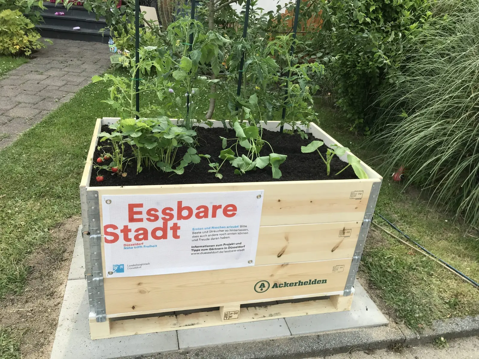 Seit fünf Jahren können Menschen mit den Hochbeeten der Essbaren Stadt in Düsseldorf zu Stadtgärtnerinnen und Stadtgärtnern werden. Inzwischen gibt es mehrere Hundert Essbare Stadt-Hochbeete. Foto: Landeshauptstadt Düsseldorf