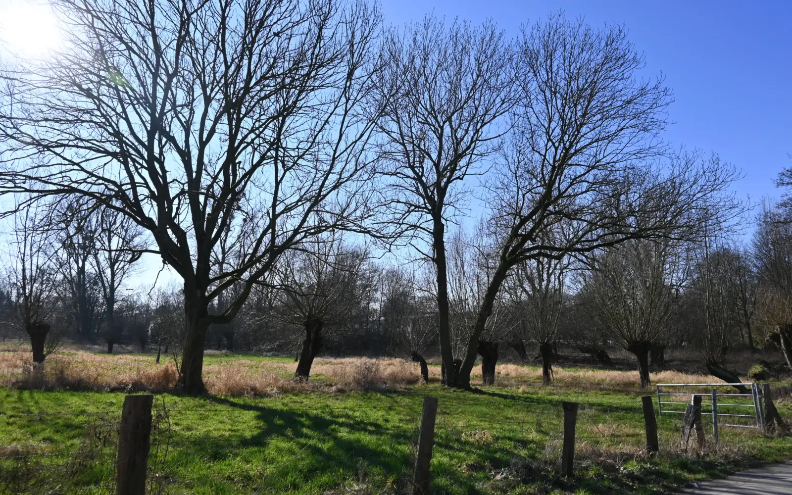 Im Biegerpark können Kinder mit ihren Begleitern kostenlos die Natur entdecken. Archivfoto: sam