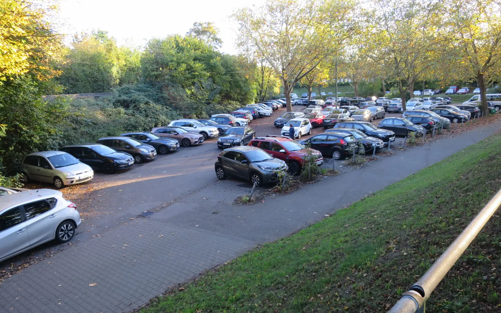 Im vorderen Teil dieses Parkplatzes an der Niederrheinstraße ist ein Supermarkt geplant. Für die Bäume, soweit sie betroffen sind, wird ein ökologischer Ausgleich erfolgen müssen. Für die Autos wird das während der Bauzeit kaum möglich sein. Foto: hs