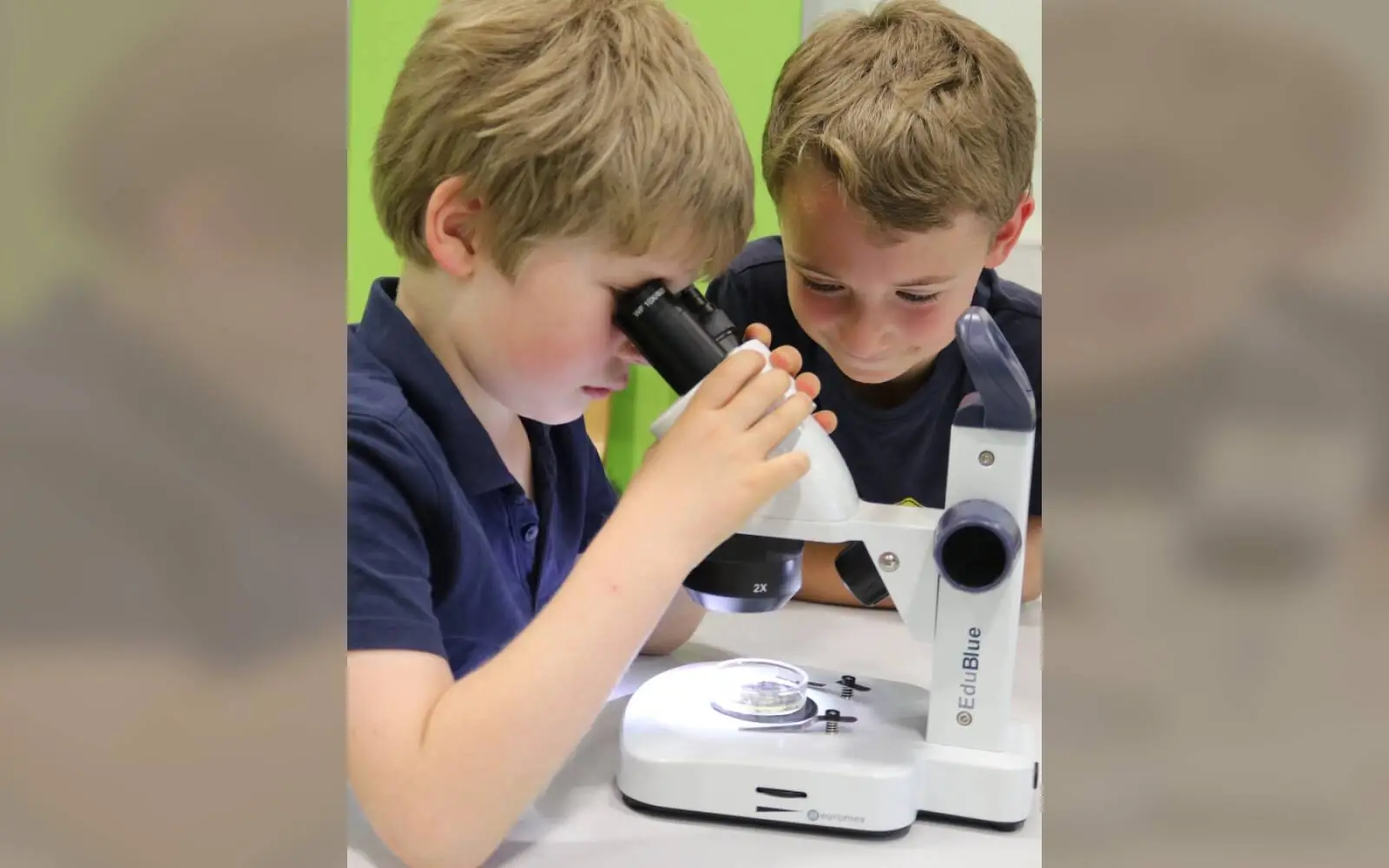 Der Aquazoo Kids-Club sucht 15 naturbegeisterte Kinder