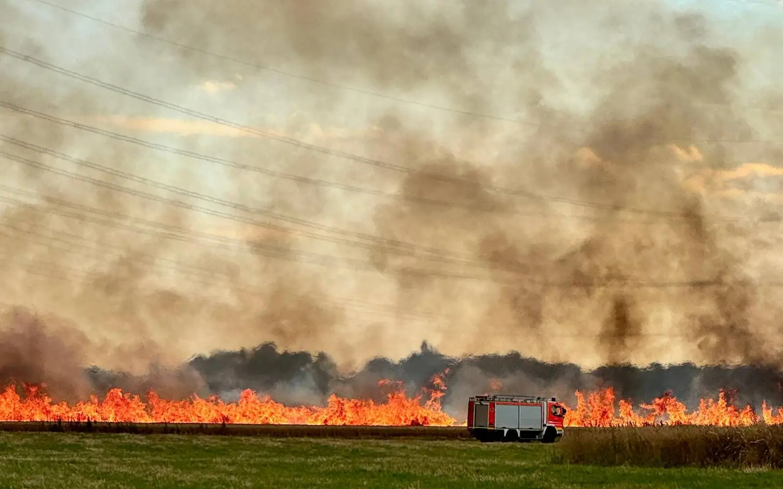 Feuerwehr im Einsatz an dem brennenden Getreidefeld in Angermund. Foto: Nils Matthiesen