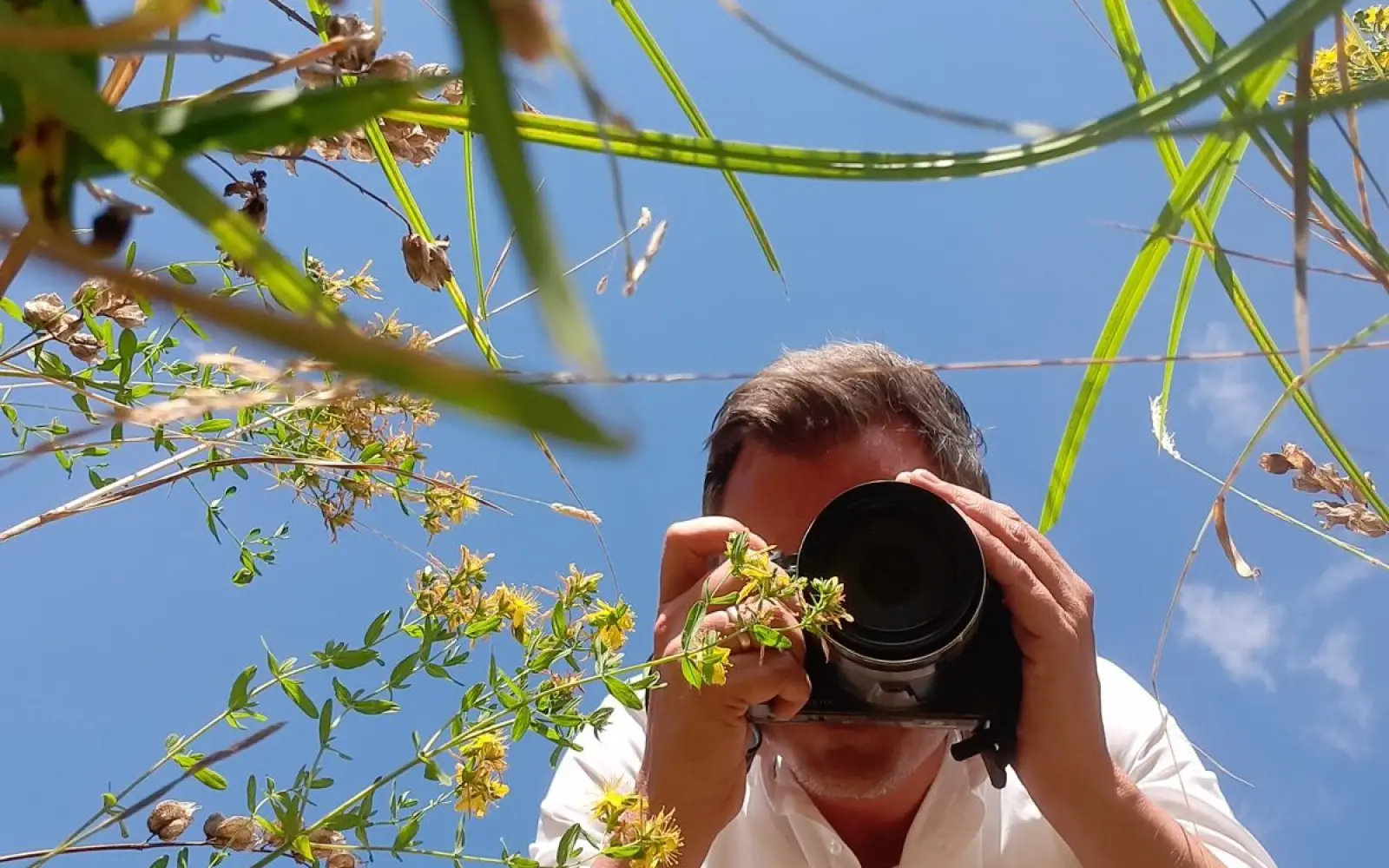 Beim Fotowettbewerb „Wetlands for Life“ sind Aufnahmen von Feuchtbiotopen gefragt, die deren Vielfalt aus ungewohnten Perspektiven einfangen. Foto: Aquazoo Löbbecke Museum