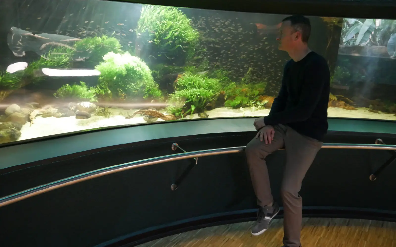 Dieses Aquarium ist Dr. Reiters Lieblingsort. Foto: cj