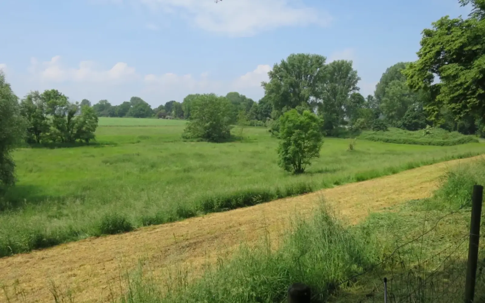 Blick auf die Wiesen („Abels Kull“) durch die der Kittelbach kanalartig zwischen Niederrheinstraße und Fährer Weg verläuft (in Bildmitte), Foto: HS