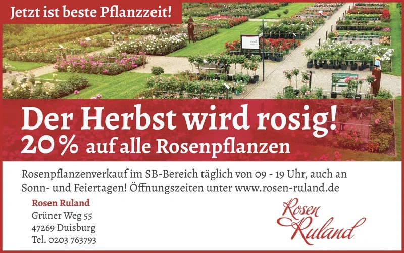 rosen-ruland.de