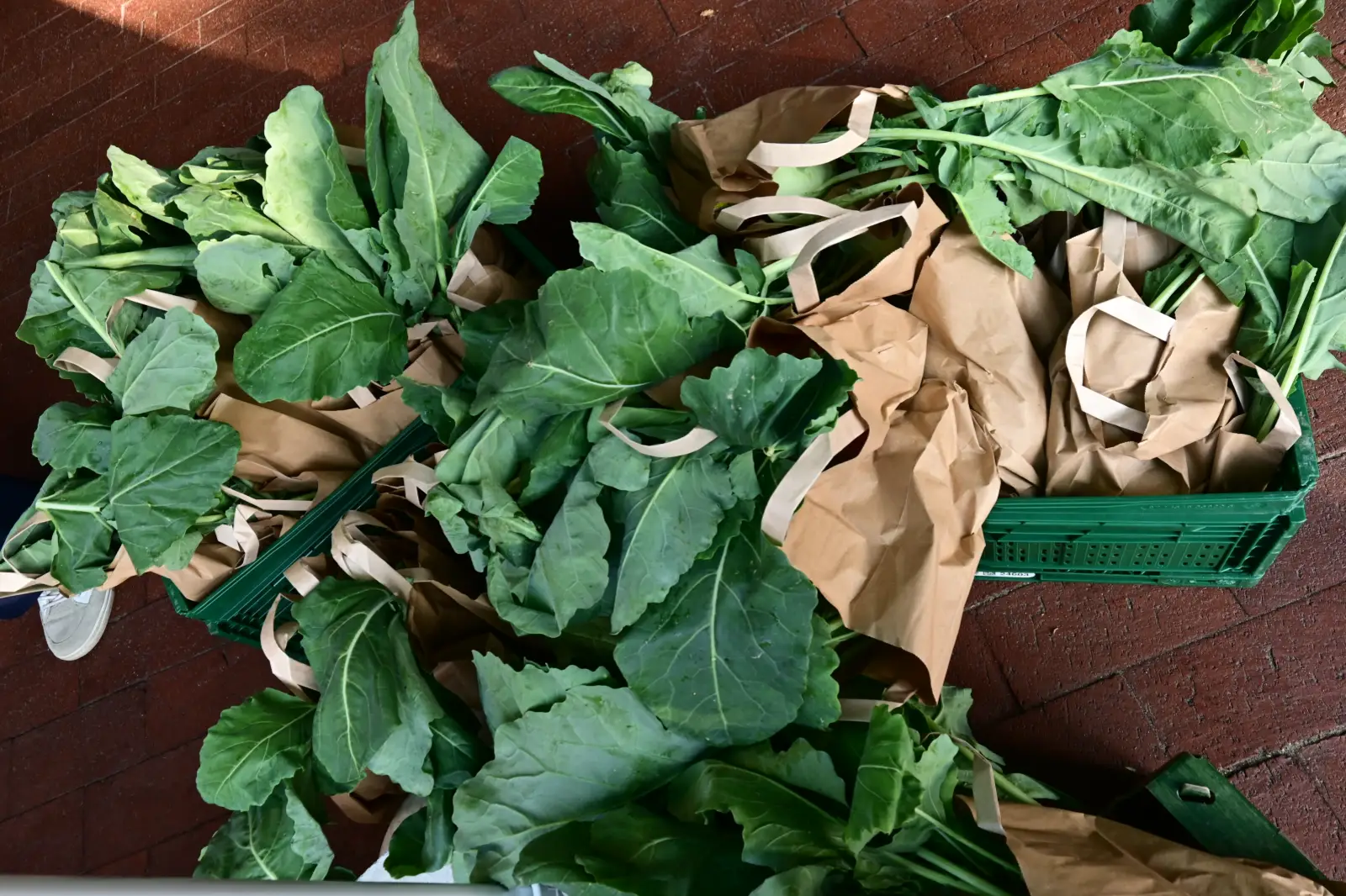 Als Dankeschön gab es für die Kinder eine Tüte mit Süßigkeiten, Obst und Gemüse. Foto: sam