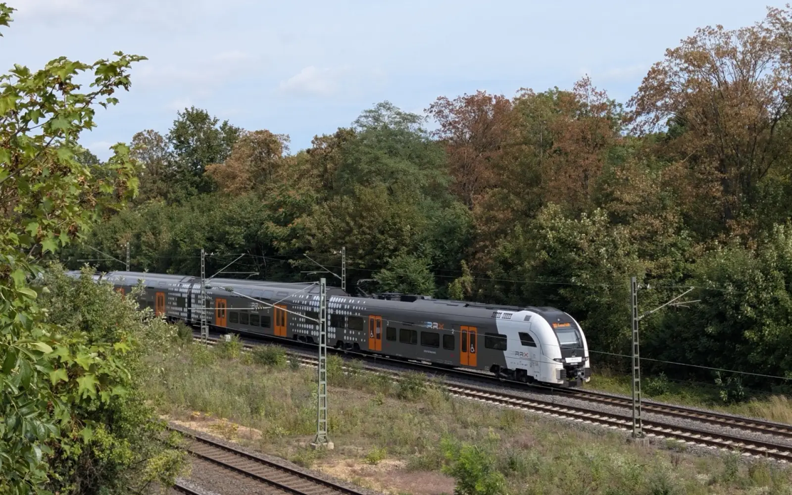 Groß (Pxl 20260902 104502735.Raw 01)