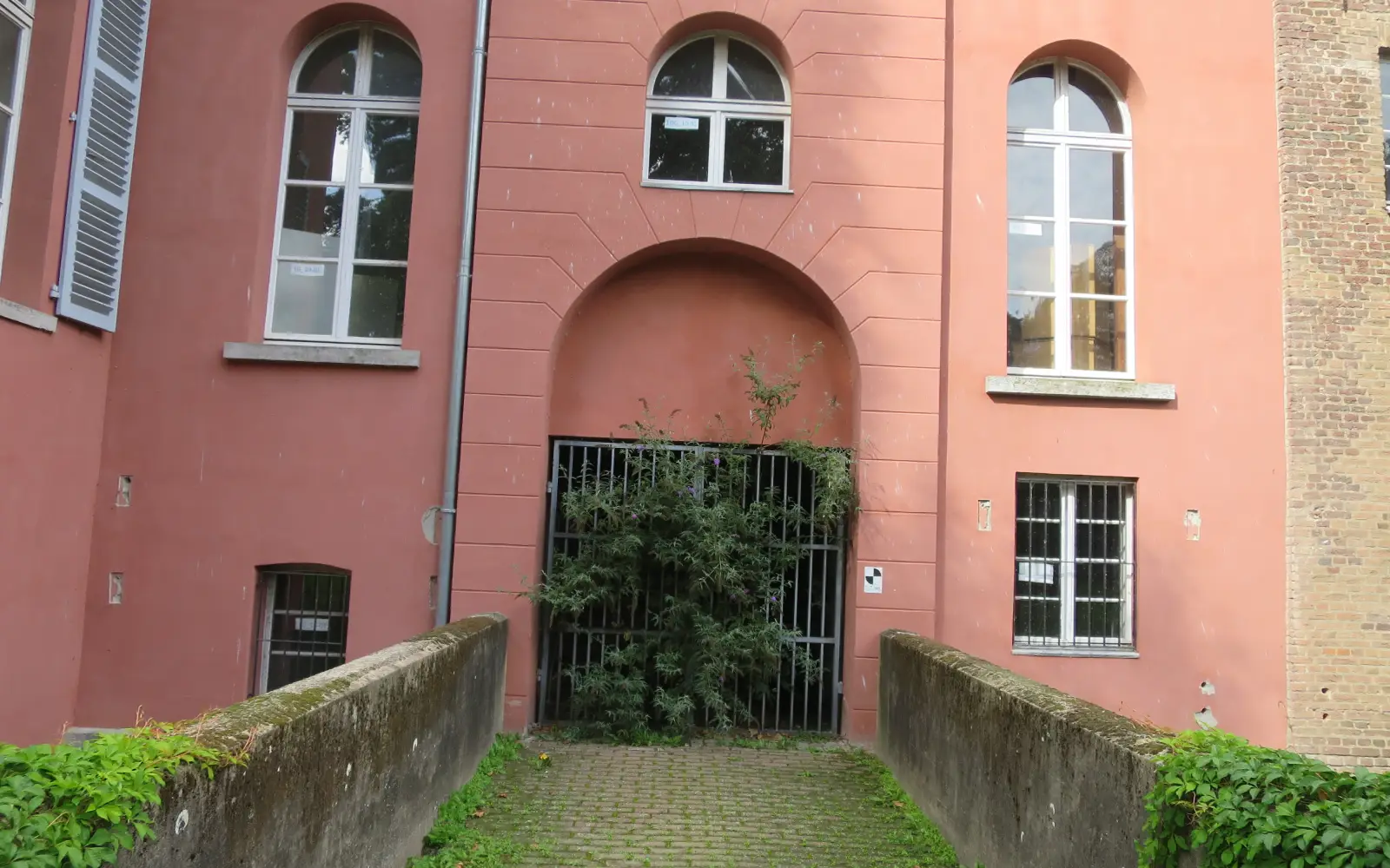 Nachdem seit mehr als zwölf Jahren niemand mehr durch das Südtor von Schloss Kalkum geht, ist es mit Sommerflieder zugewachsen. Foto: hs