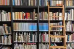Fünf Hauptgruppen ordnen den Bestand, die größte davon umfasst mit 539 Titeln Literatur zu Kaiserswerth. Foto: ah