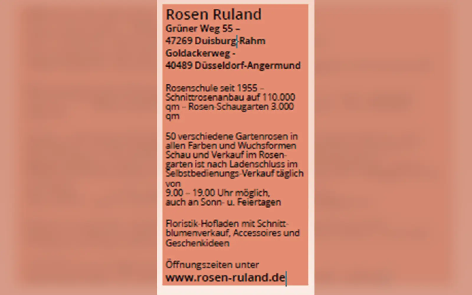 Rosen Ruland Infokasten