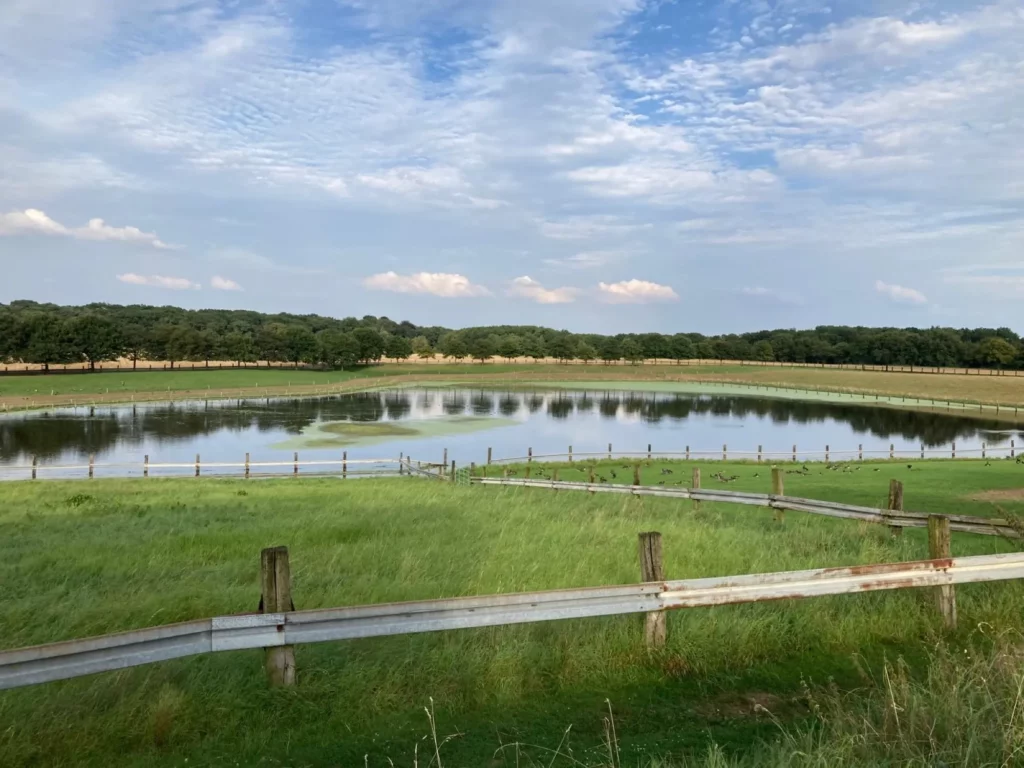 Neue Seen sind im Duisburger Süden entstanden, wie hier am Postenhof in Serm. Aber die Idylle trügt und kann hohen finanziellen Schaden verursachen. Foto: sam