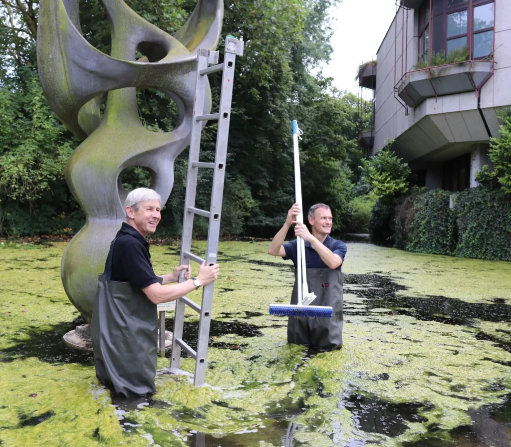 Dr. Jochen Reiter und Thomas Fellmerk bei der Reinigung der „Schneckenplastik“ am Aquazoo Düsseldorf. Mit Wathosen und Schrubber rücken sie dem Schmutz zu Leibe. Foto: Aquazoo Löbbecke Museum