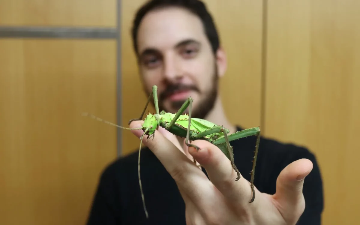 Keine Angst vor großen Krabbeltieren - Manuel König ist Insektenforscher im Aquazoo und fasziniert von allem, was sechs Beine hat © Landeshauptstadt Düsseldorf/Aquazoo