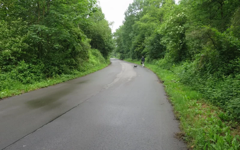 Die Straße „An der Reith“ im Kalkumer Wald. Der ehemalige Roll- und später Kiesabfuhrweg wurde 2022 in ursprünglicher Breite von ca. 10 Metern mit einer neuen Asphaltdecke versehen. Foto: HS