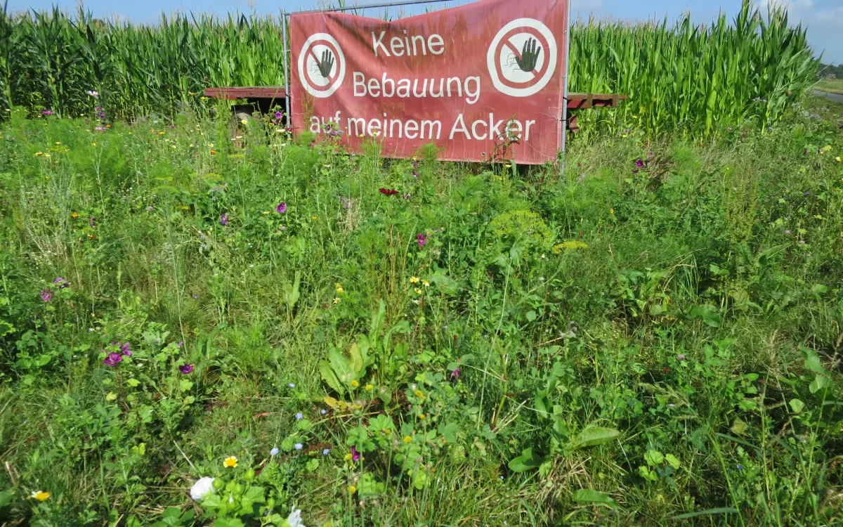 Protestplakat nördlich Kalkumer Schlossallee Foto: hs